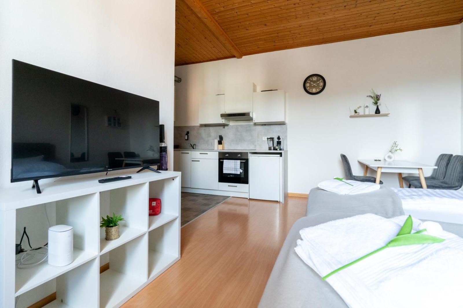 COY Apartments Leoben - Stay Comfortable & Work Smart
