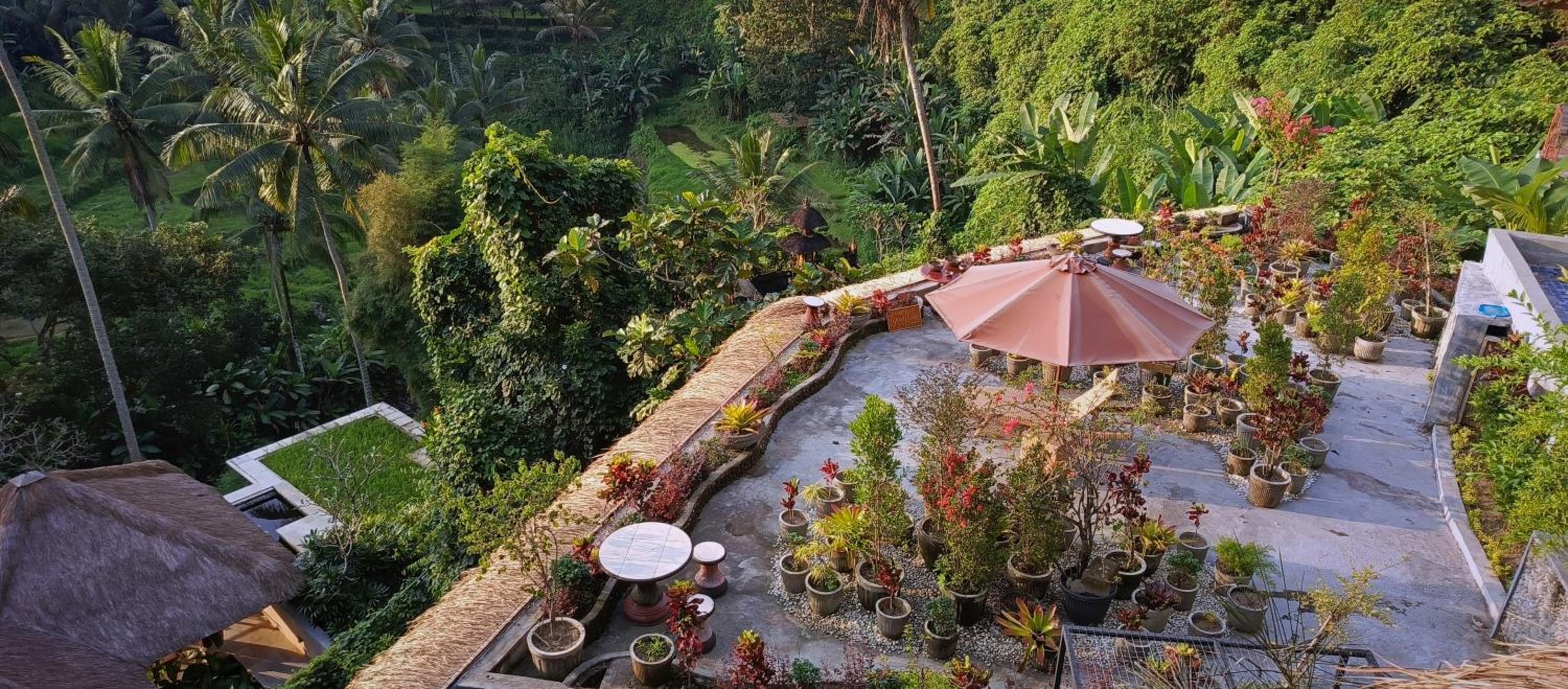 Photo 26
