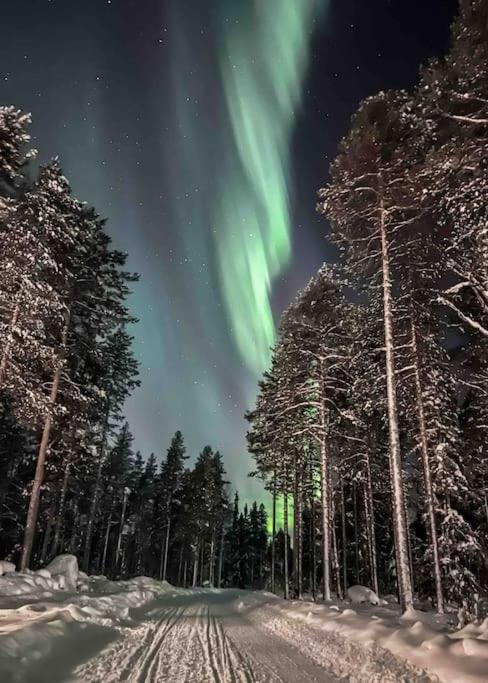 Villa Noel Arctic Circle
