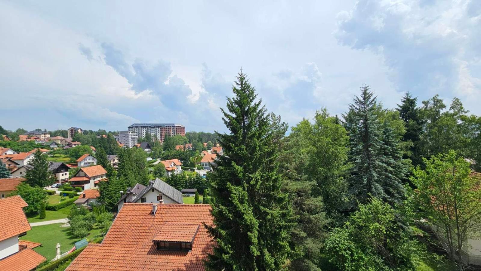 Forest Dreams LUX view 4
