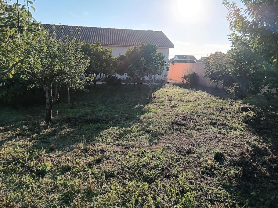 CASA COM ARTE - Hospitality & Rural Impact view 2