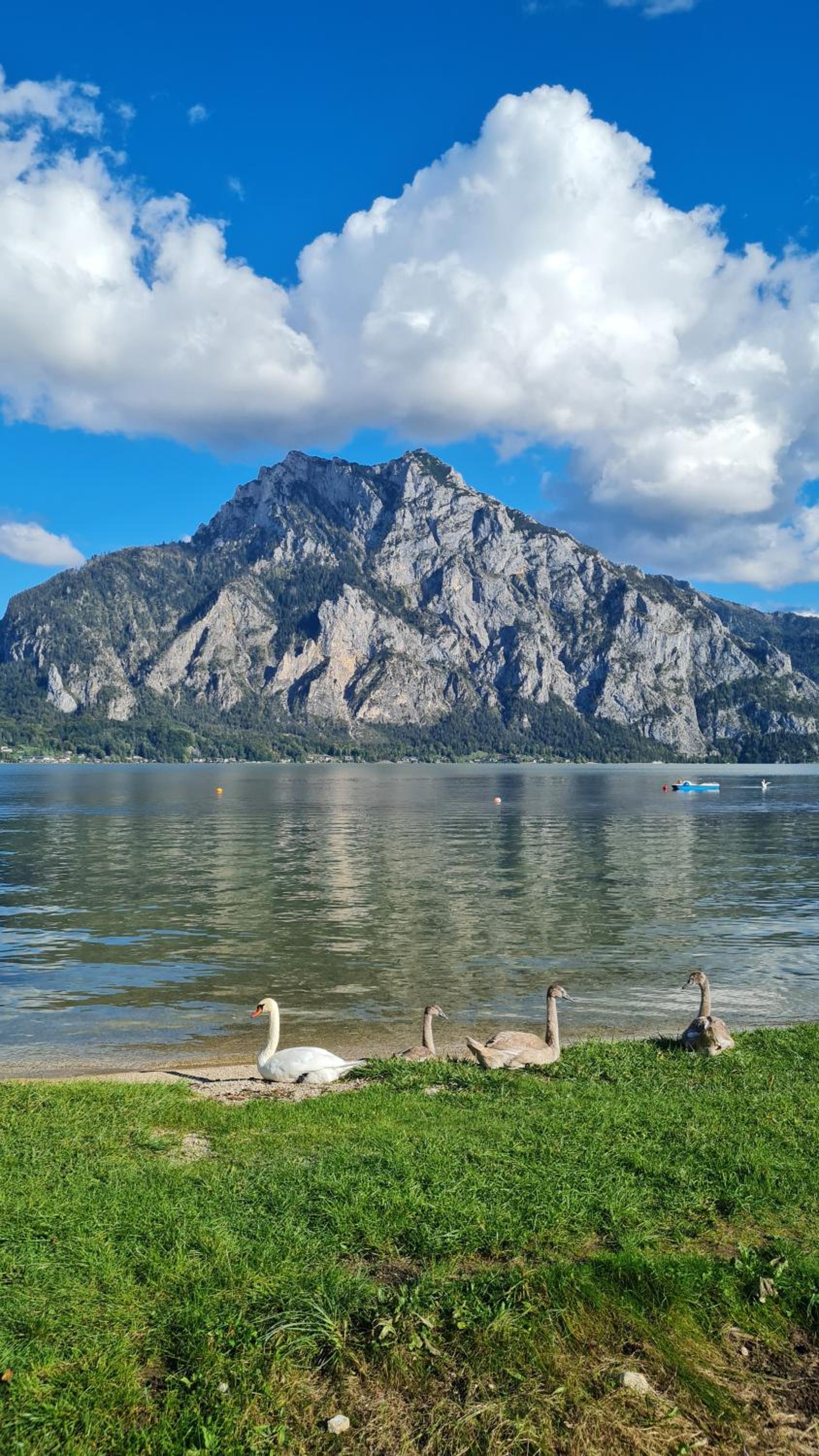 Appartement Demelfischer am See