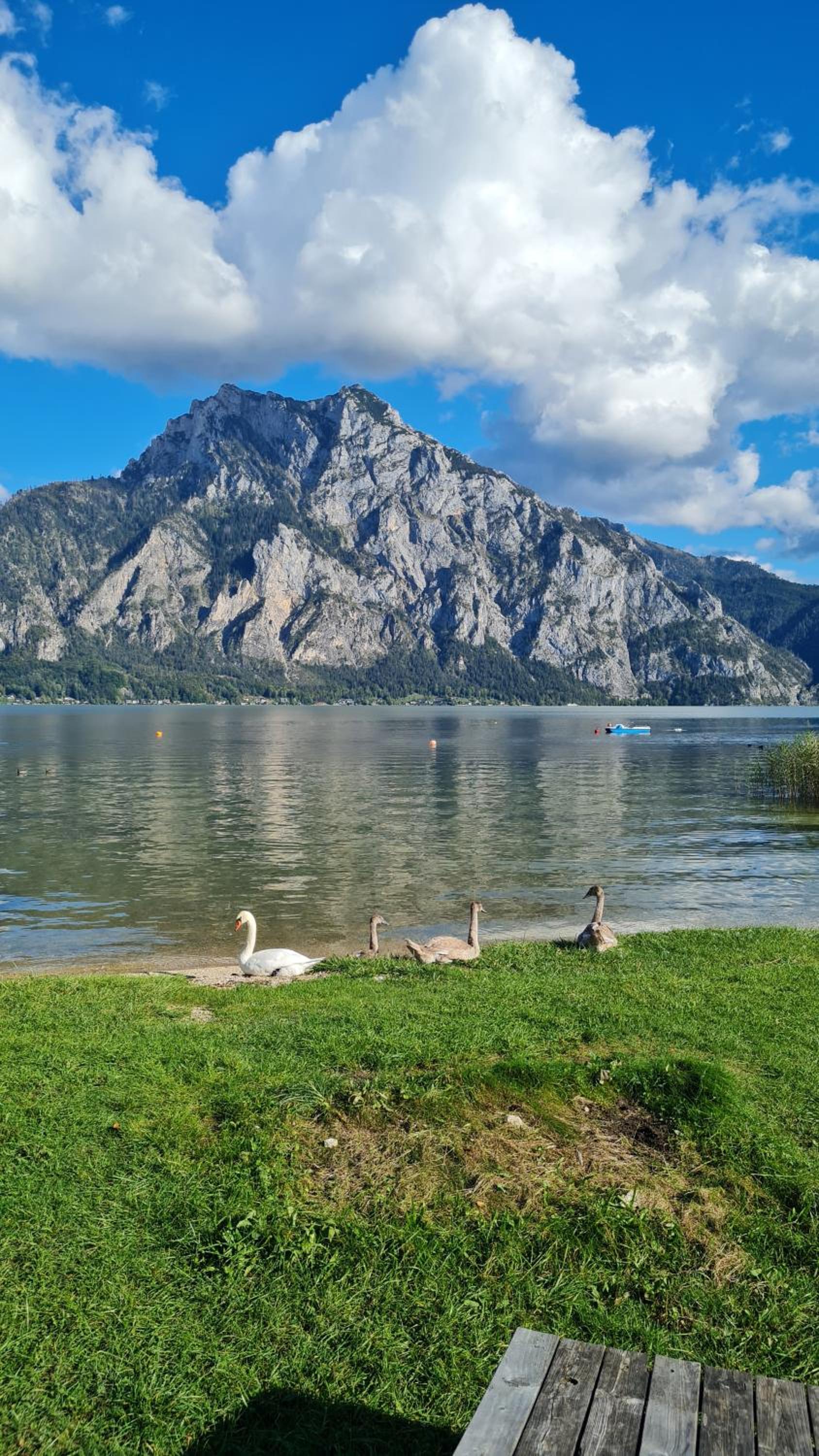 Appartement Demelfischer am See