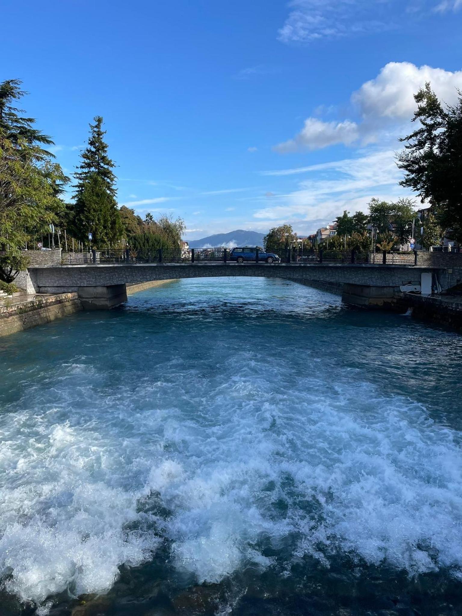 Oasis