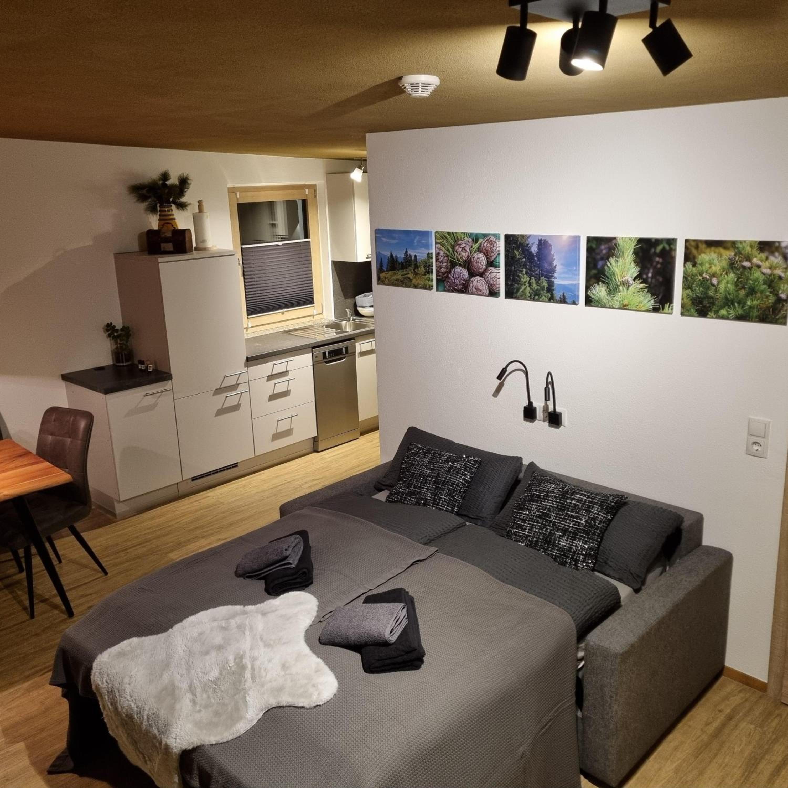 Apartment Zirbenzapfen