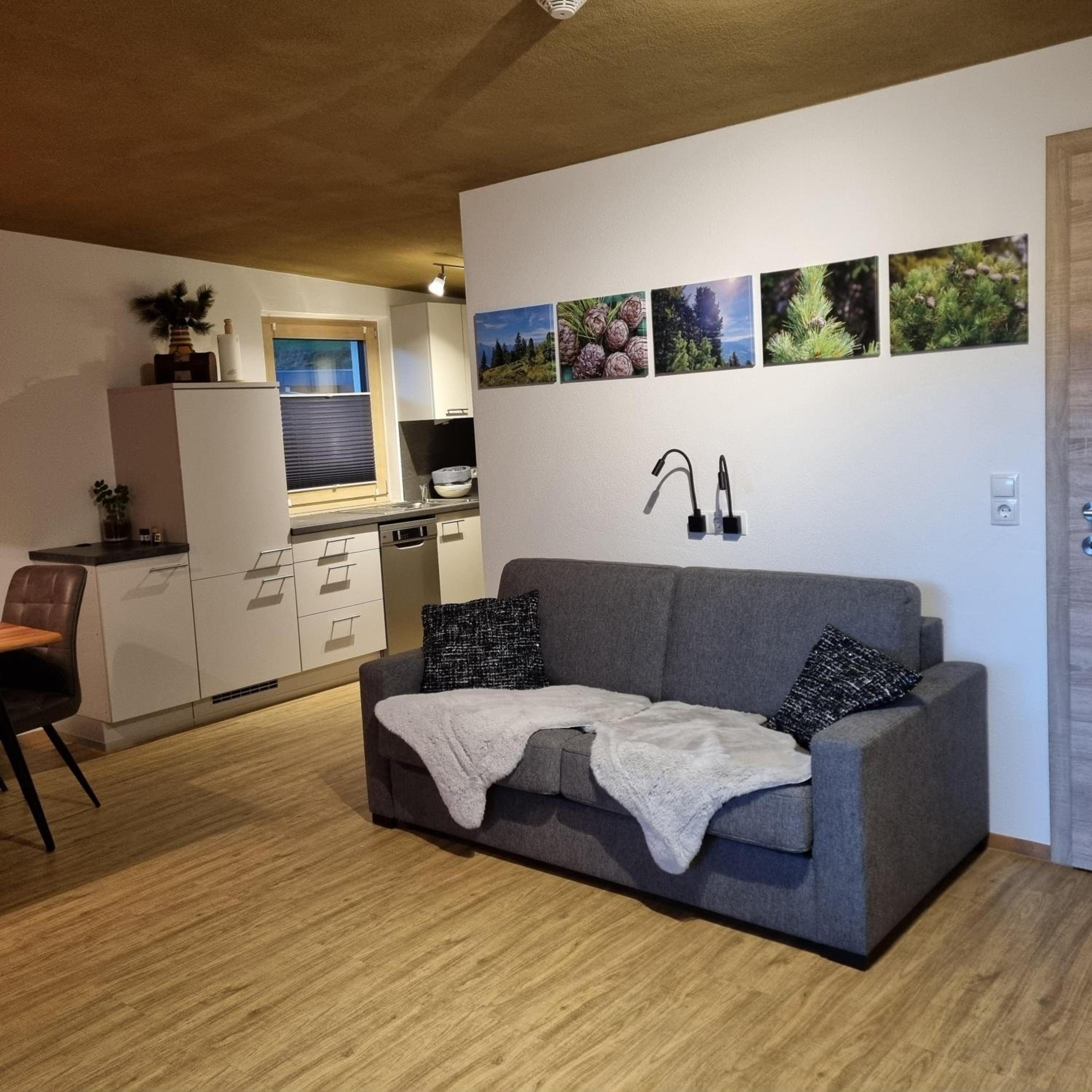 Apartment Zirbenzapfen