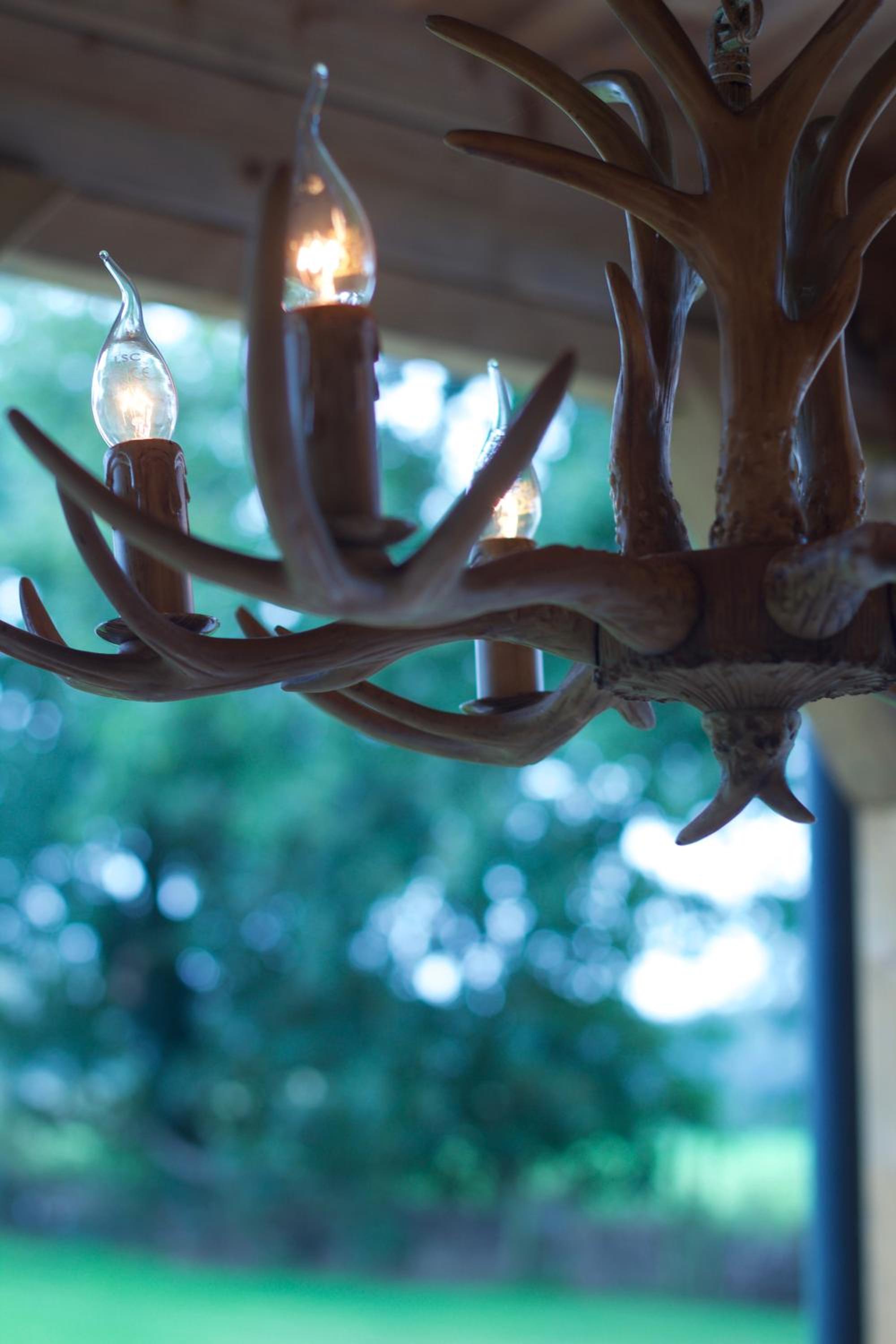 Old Deer Lodge by Neeltje Soet view 2