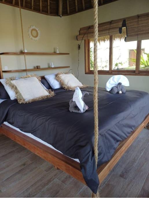 Ecolodge Tropical Moonlight