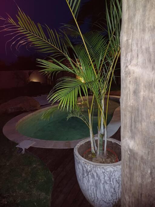 Ecolodge Tropical Moonlight