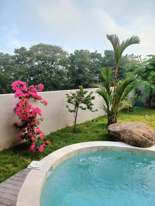 Ecolodge Tropical Moonlight