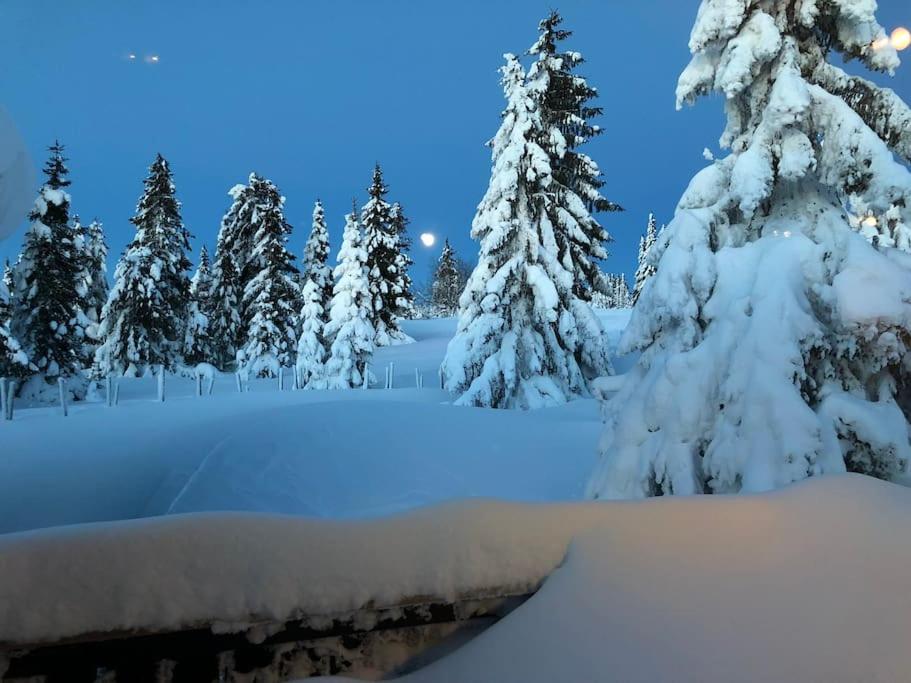 Leilighet sentralt på Sjusjøen, 11 sengeplasser view 5