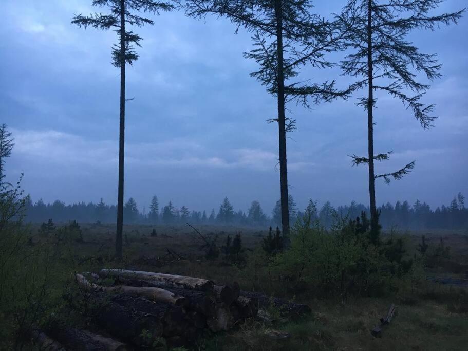 Log-House Wildernest