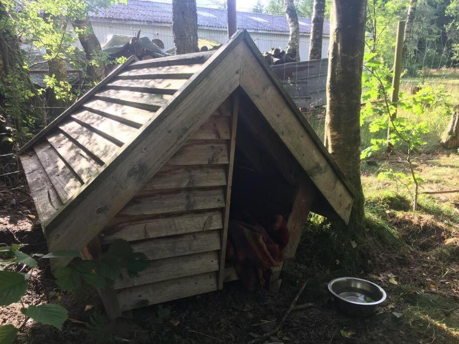 Log-House Wildernest
