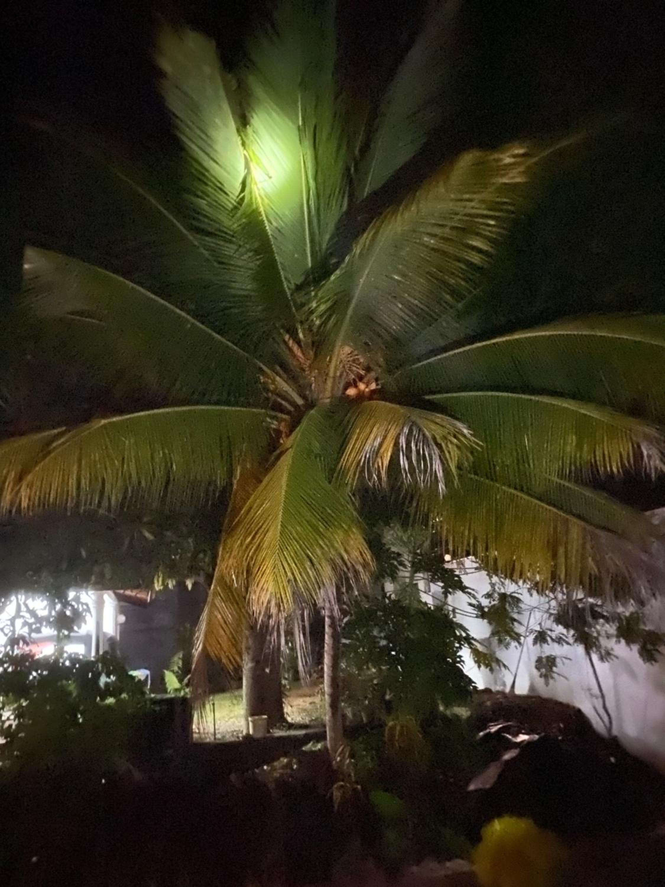 Villa Amila Induruwa Homestay