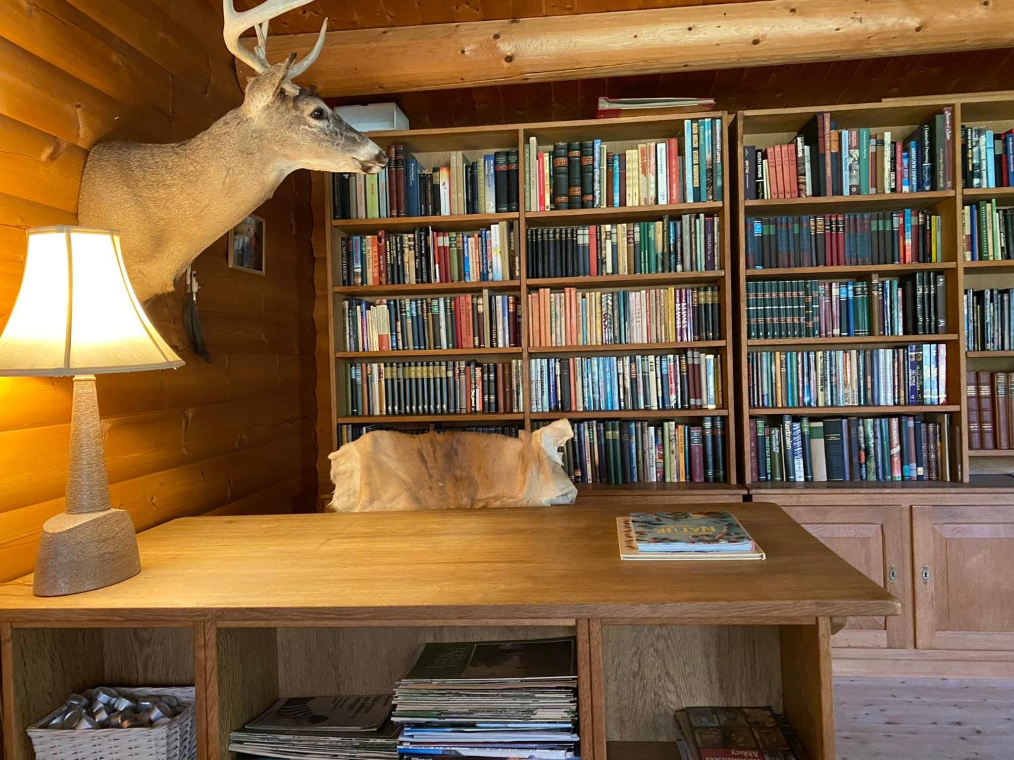 Log-House Wildernest