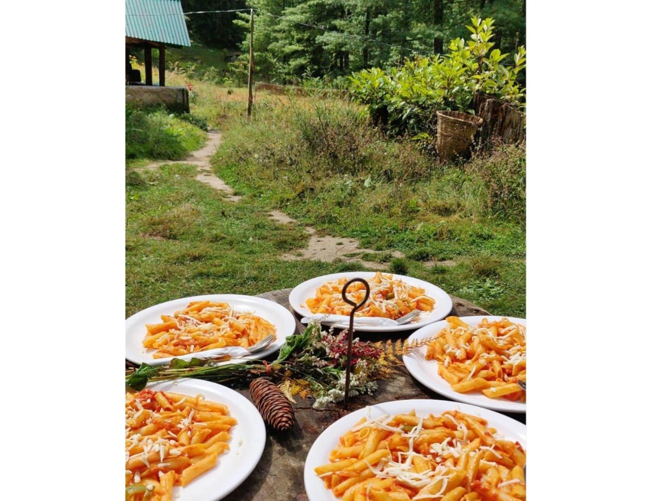 Into the Woods, Tulga, Kasol, HP "Nature's Trail, 20 Minutes to Tranquility" view 4