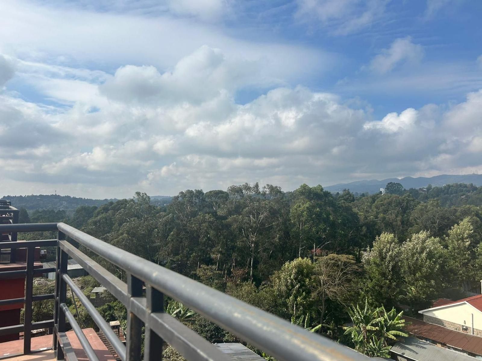 Cozy studio apartment with balcony in Ngong view 4