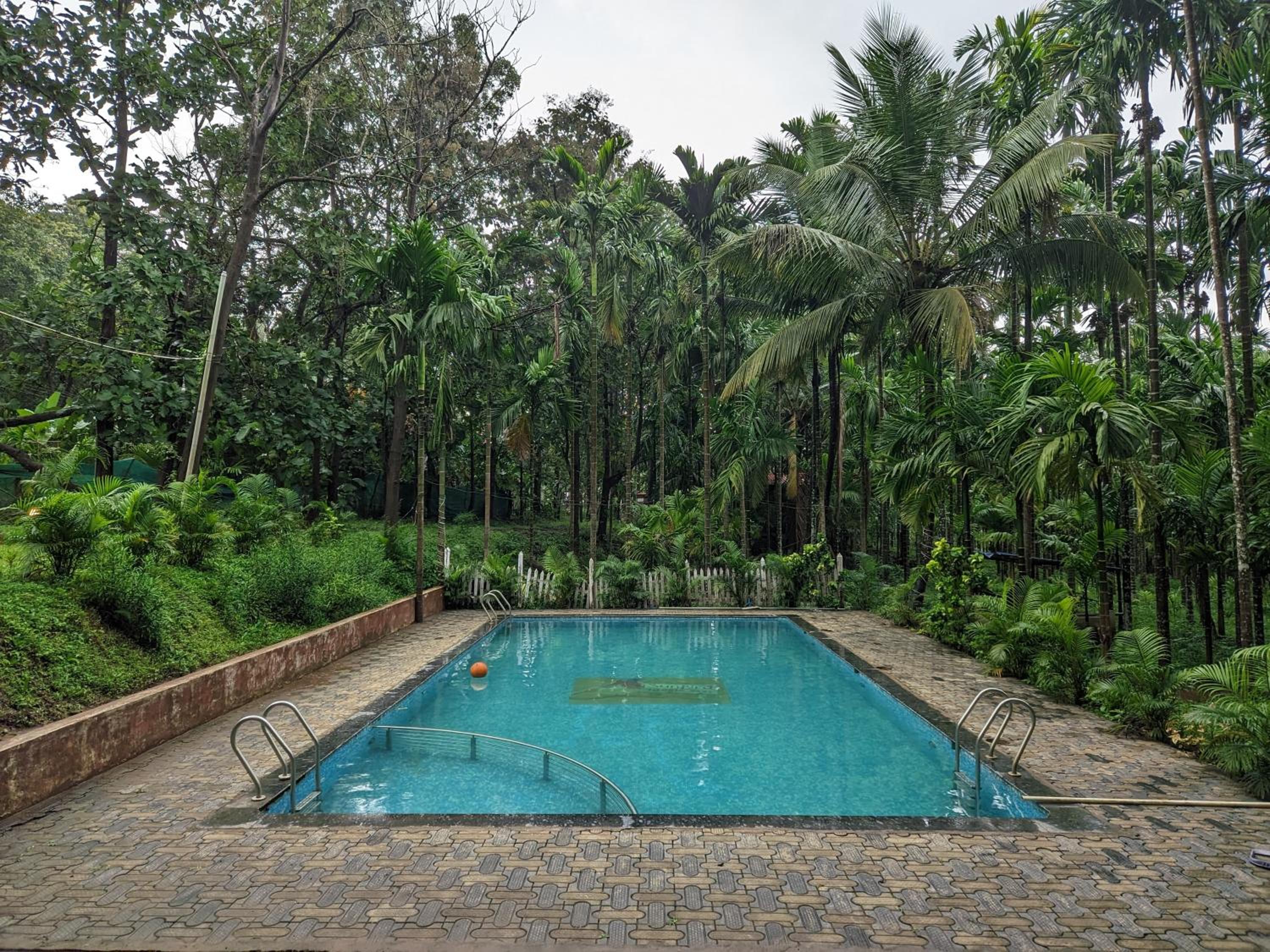 SunBird jungle stay view 4