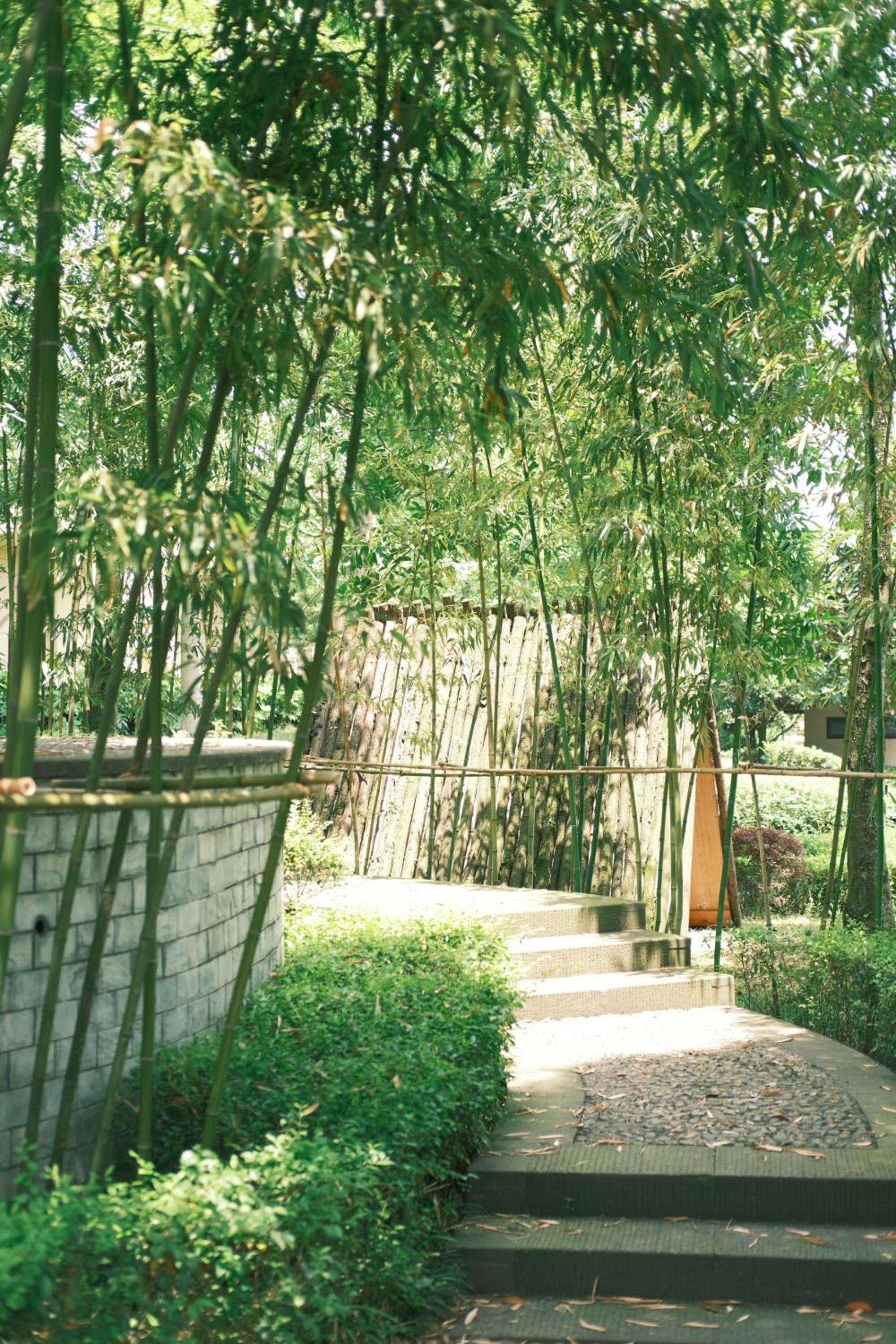 Six Senses Qing Cheng Mountain