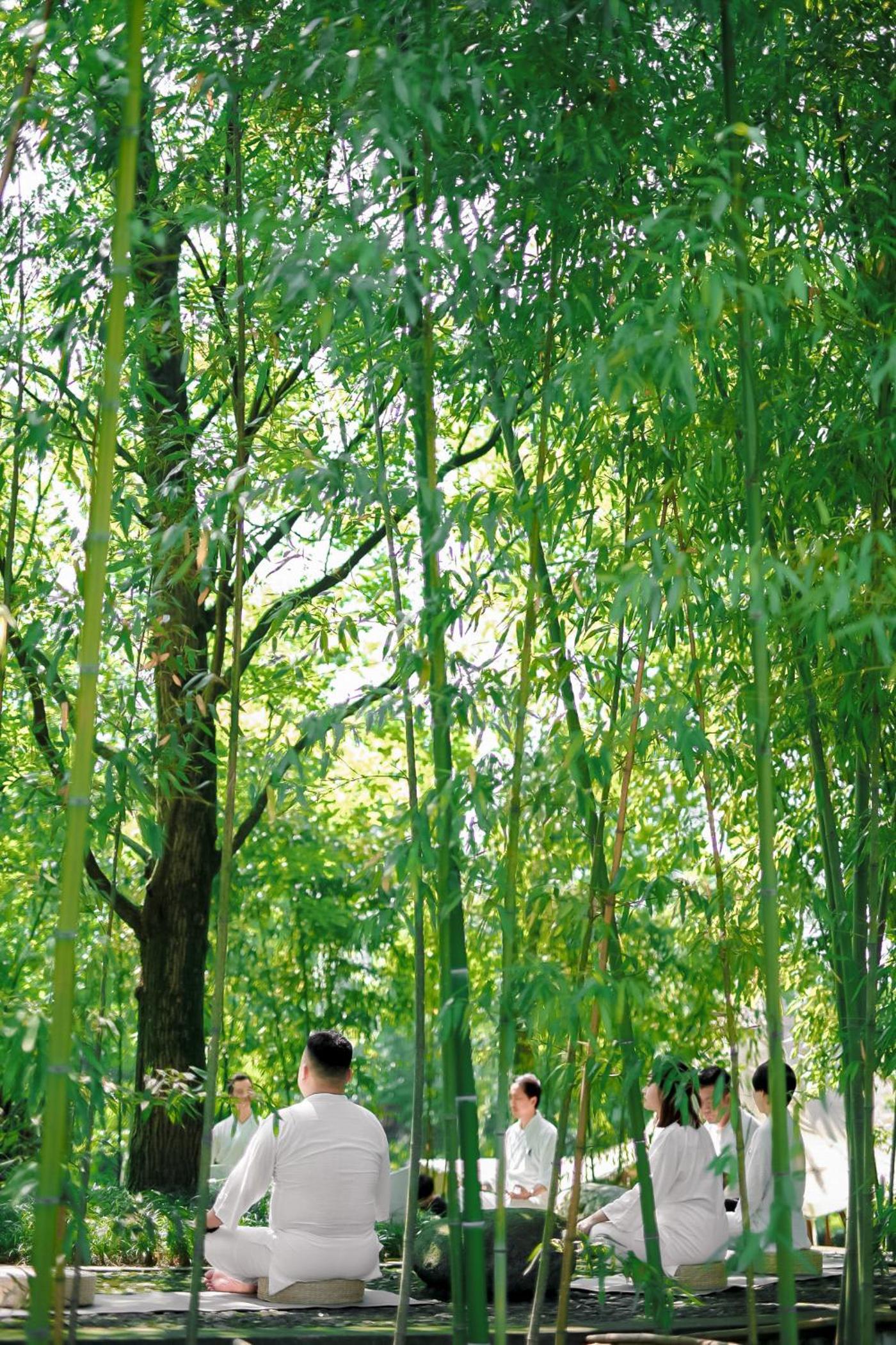 Six Senses Qing Cheng Mountain