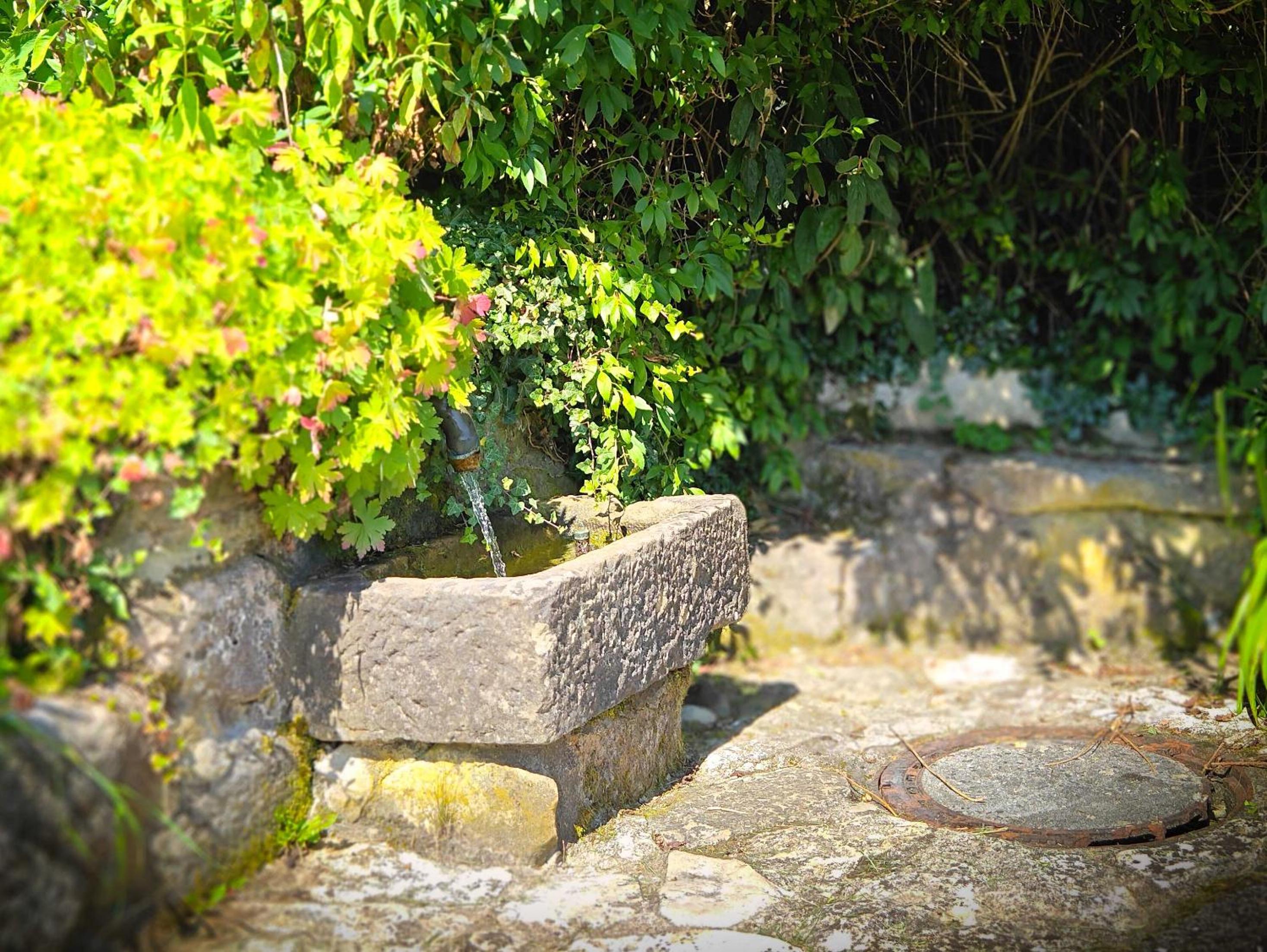 Casa-Philipp, mediterrane, lichtdurchflutete, stilvolle Ruhe-Oase, ebenerdig, mit Garten, Terrasse, Grill und Sauna im Naturparadies Fränkische Schweiz
