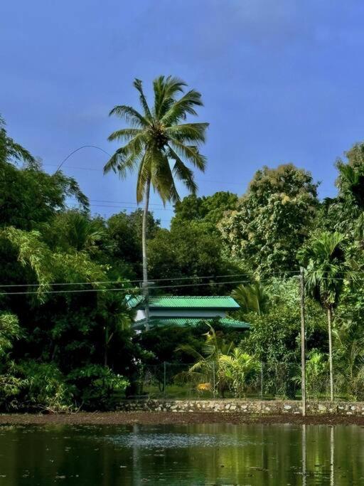 Mango Garden Cottage Tangalle