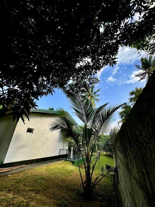 Mango Garden Cottage Tangalle