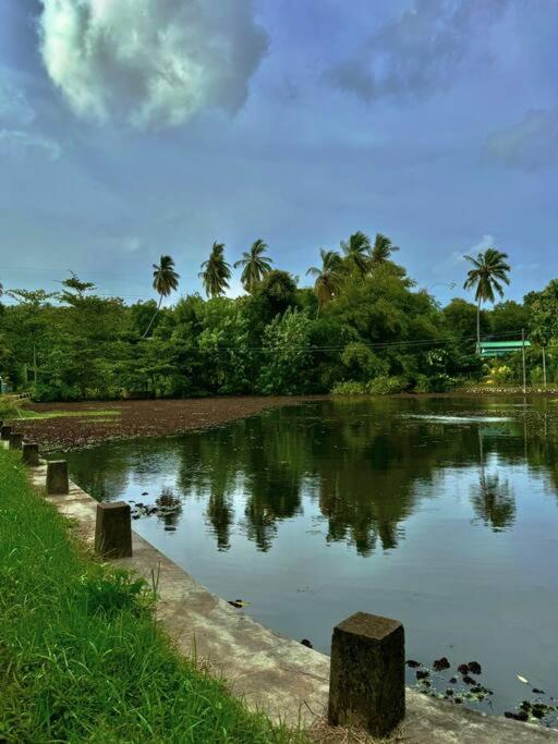 Mango Garden Cottage Tangalle