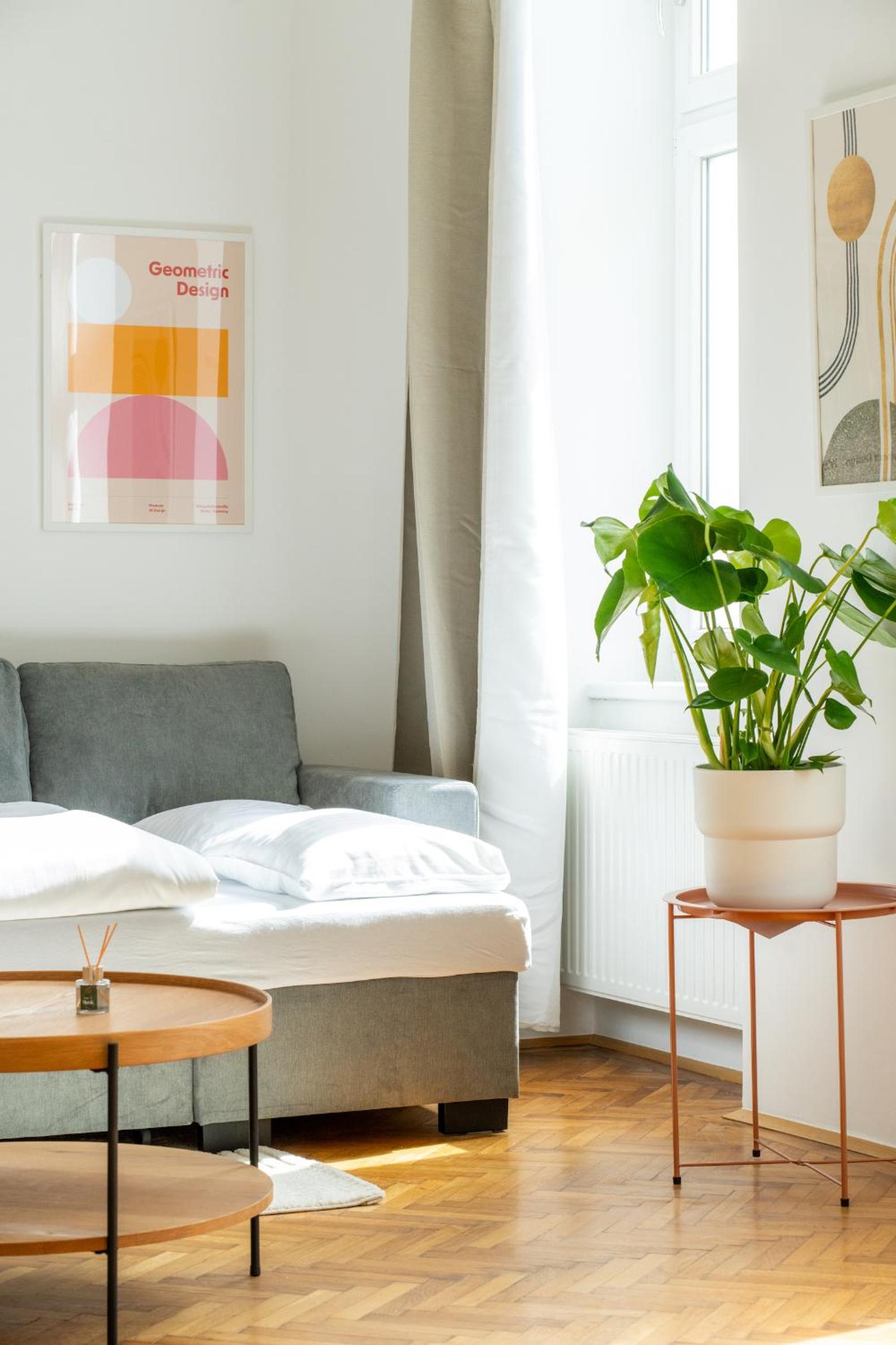 Franz-Josef City Apartment is Calling - by 4ty3 Apartments
