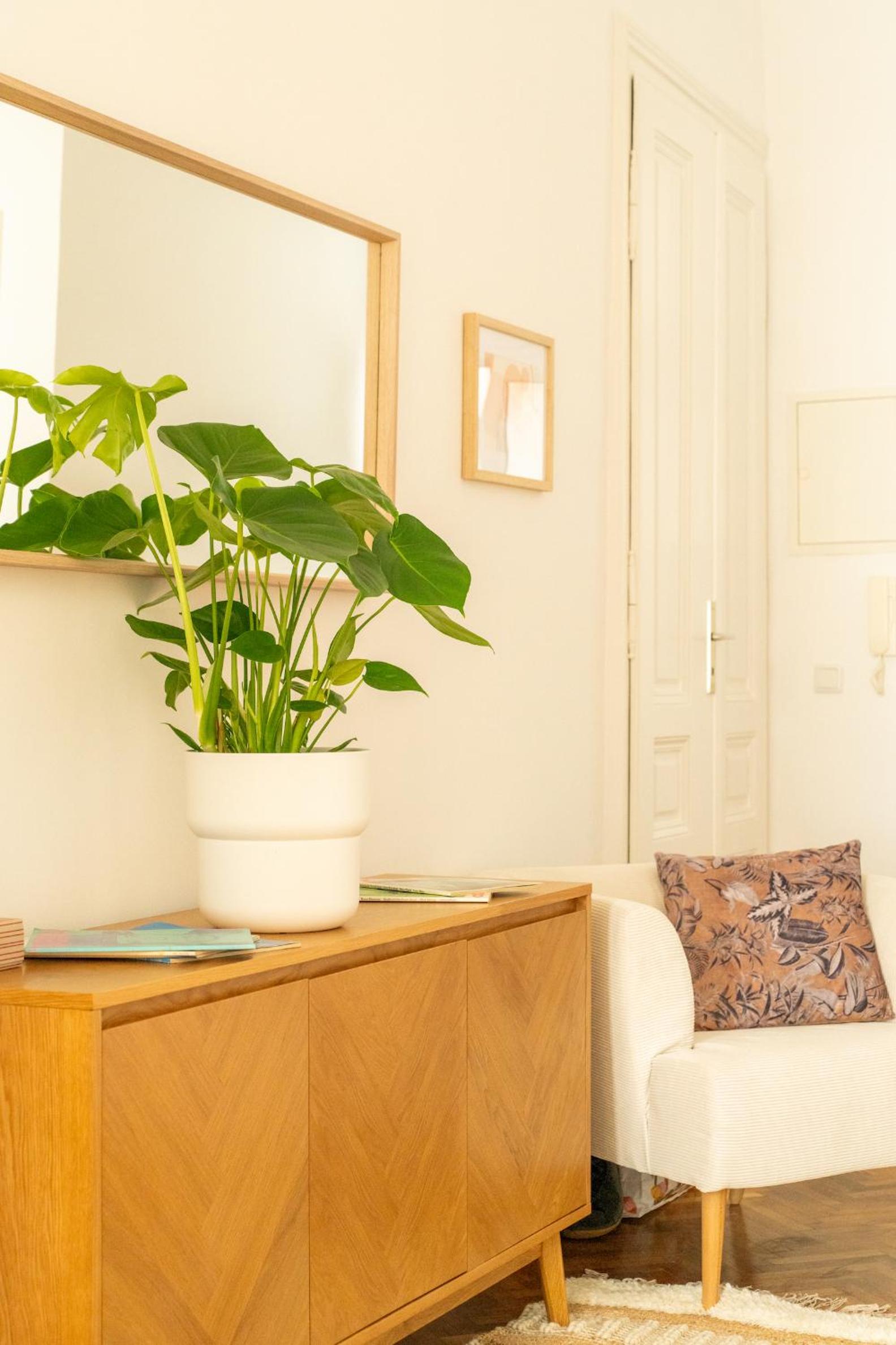 Franz-Josef City Apartment is Calling - by 4ty3 Apartments