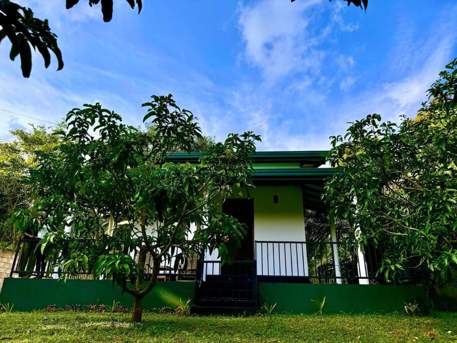 Mango Garden Cottage Tangalle