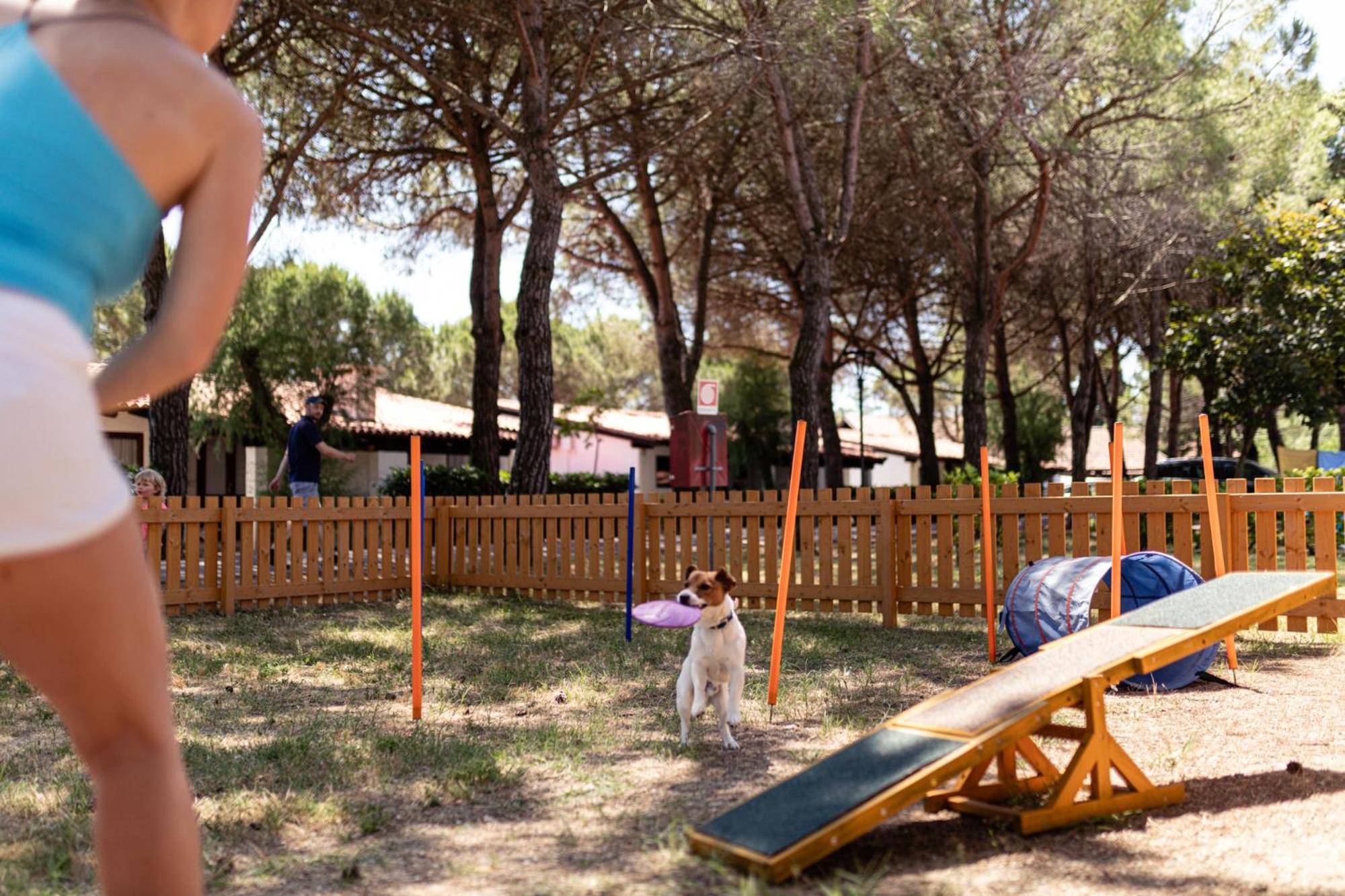 Residence Punta Spin