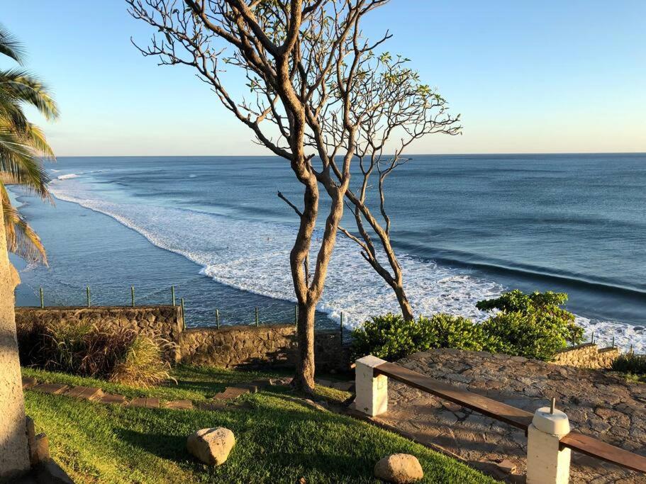 Photo 41