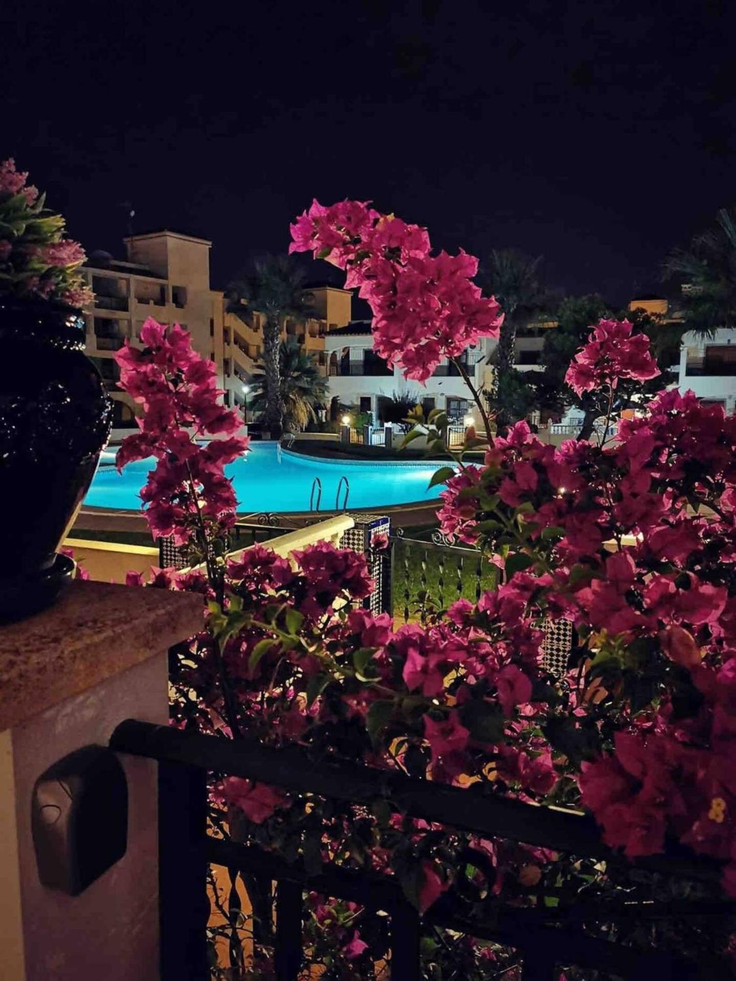 Playa Flamenca Groundfloor Jumilla III