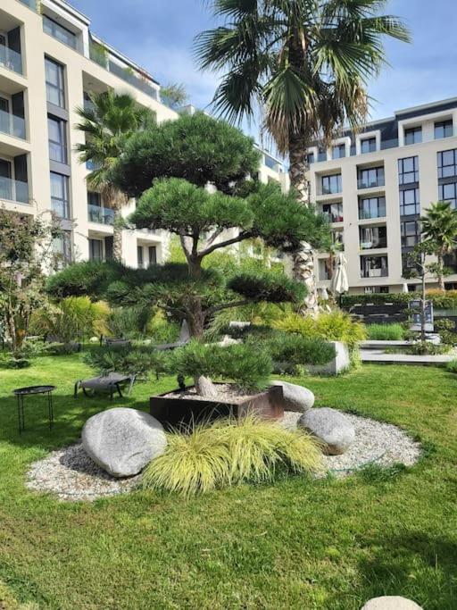 Katty's Place - Azur Premium