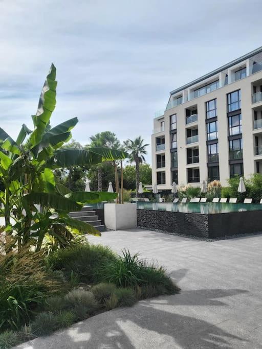 Katty's Place - Azur Premium