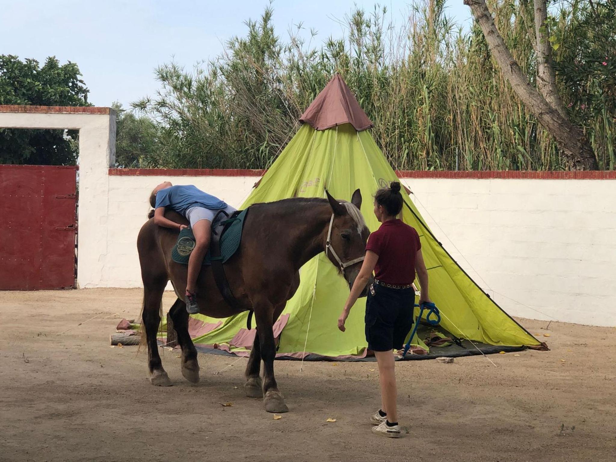 Alojamiento Rural El Molino de Benalup