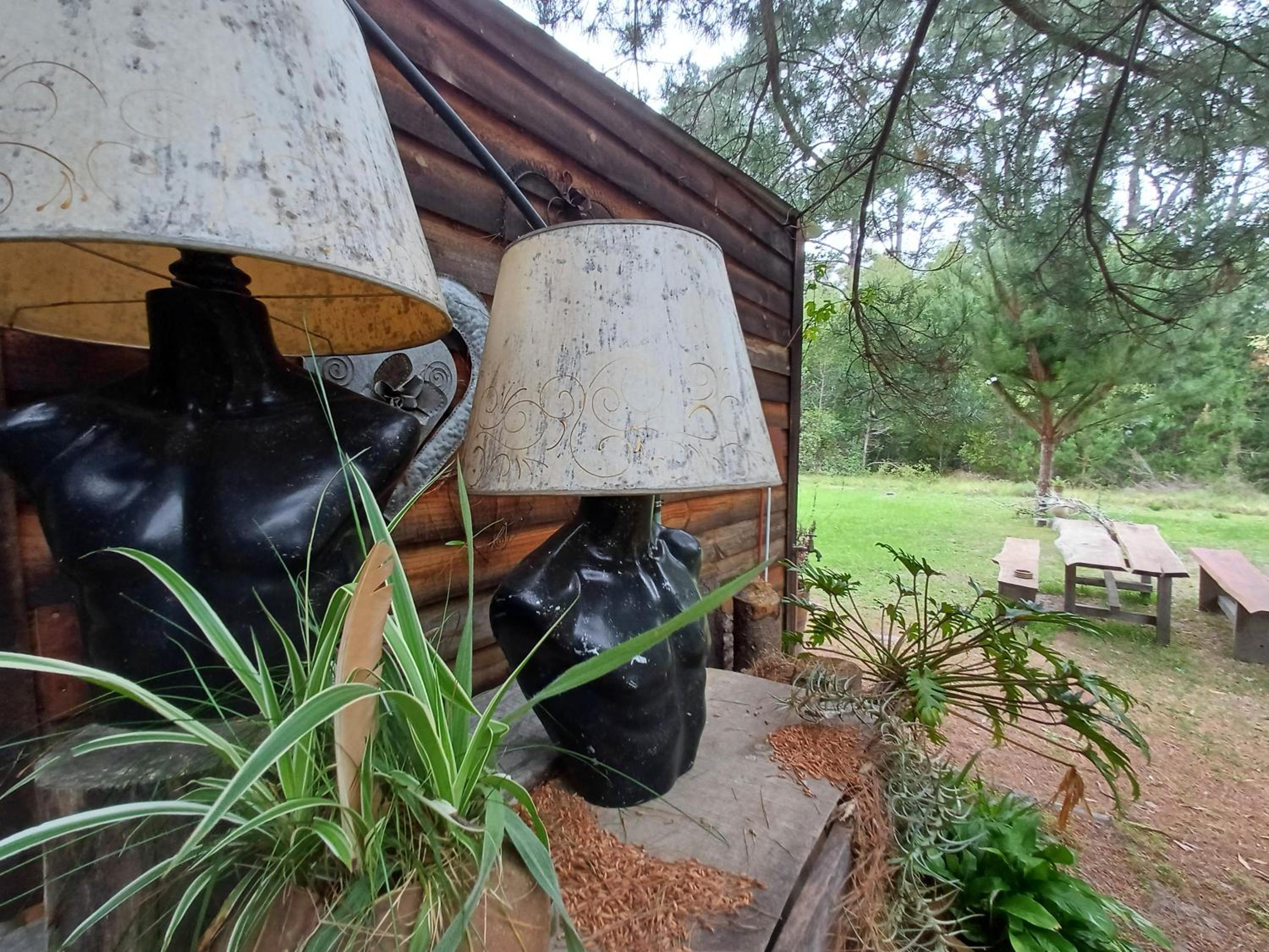 Holt Hill Foreststay, Plettenbergbay - Image 2