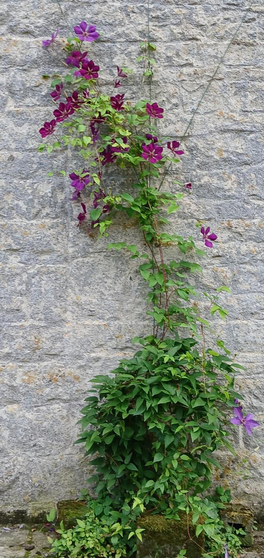 Gite Les Chavautes rustic style