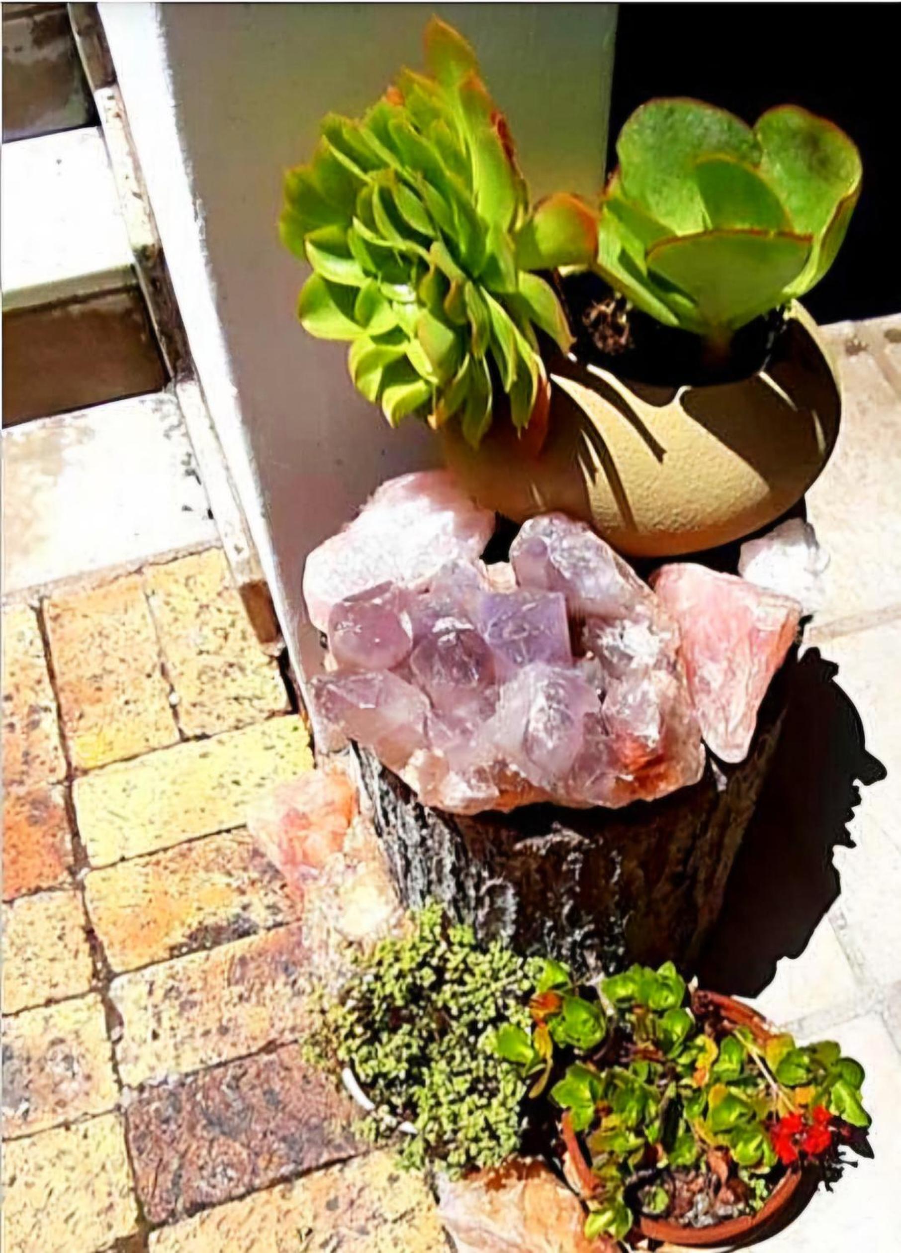Serenity view 2