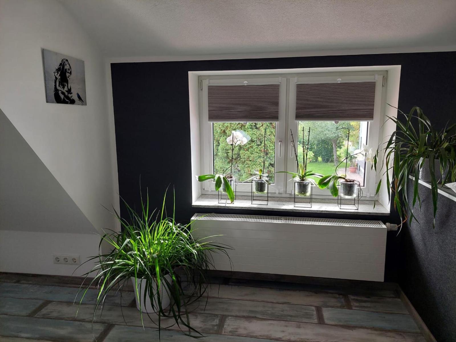 Ferienhaus Nebra 
