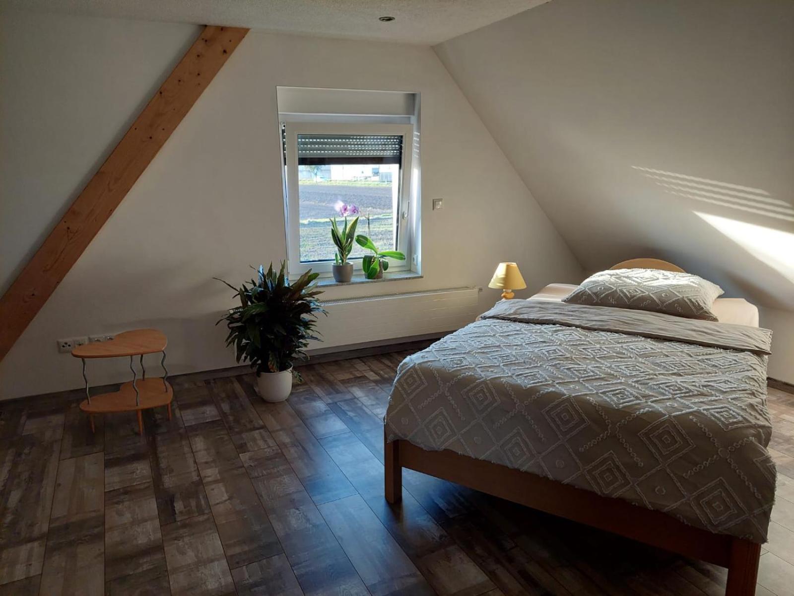 Ferienhaus Nebra 