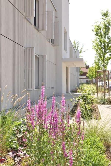 Modern flat direct to the lake, up to 8 persons