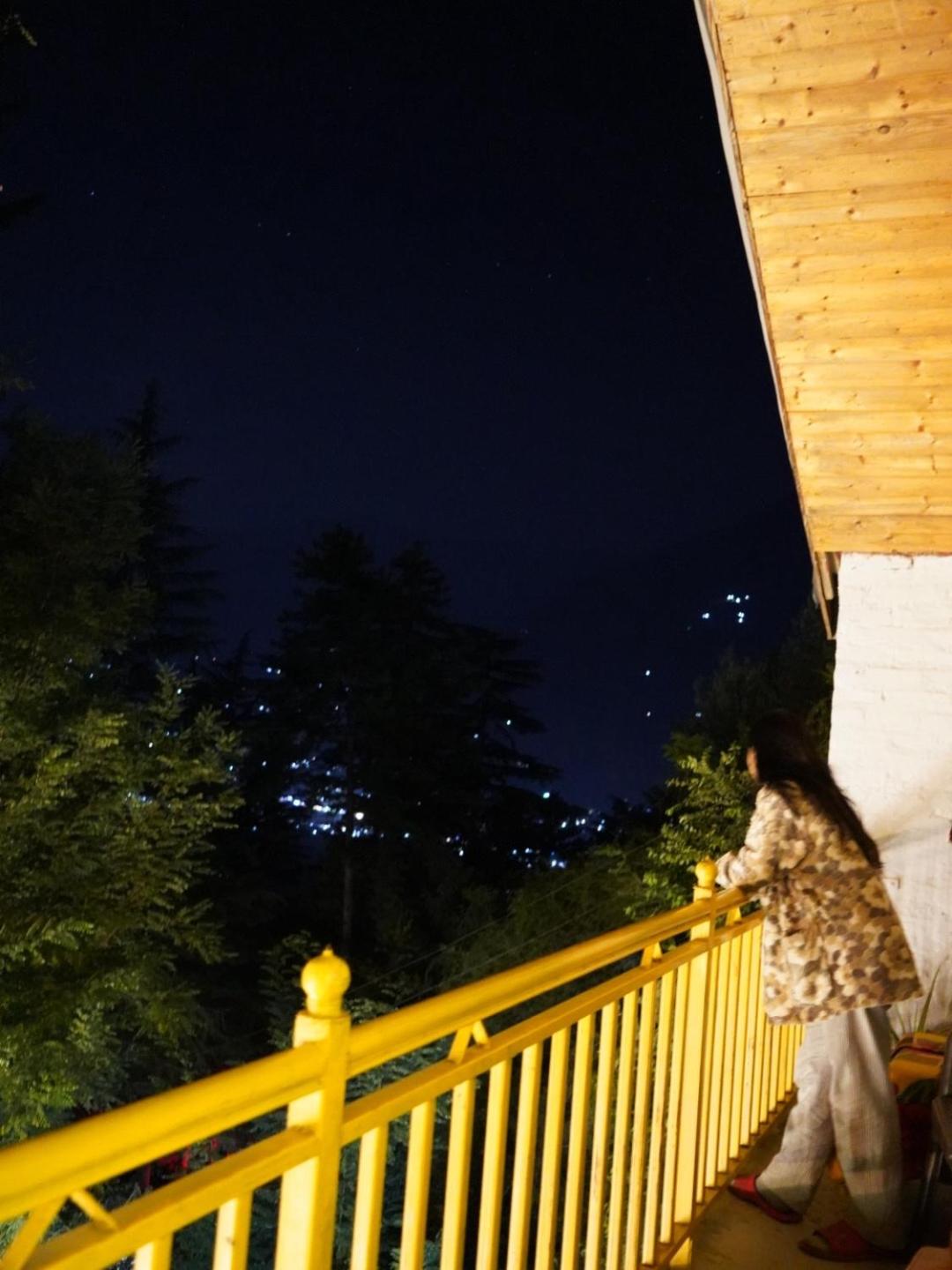jungle vibes hostel naggar view 4