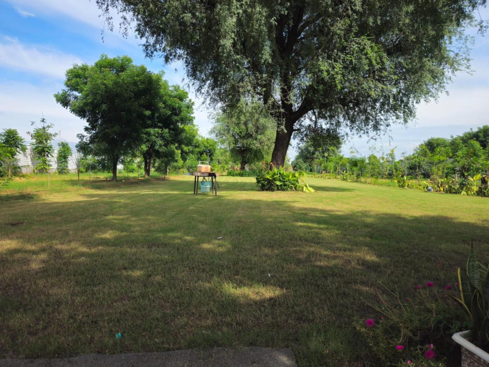 Photo 49