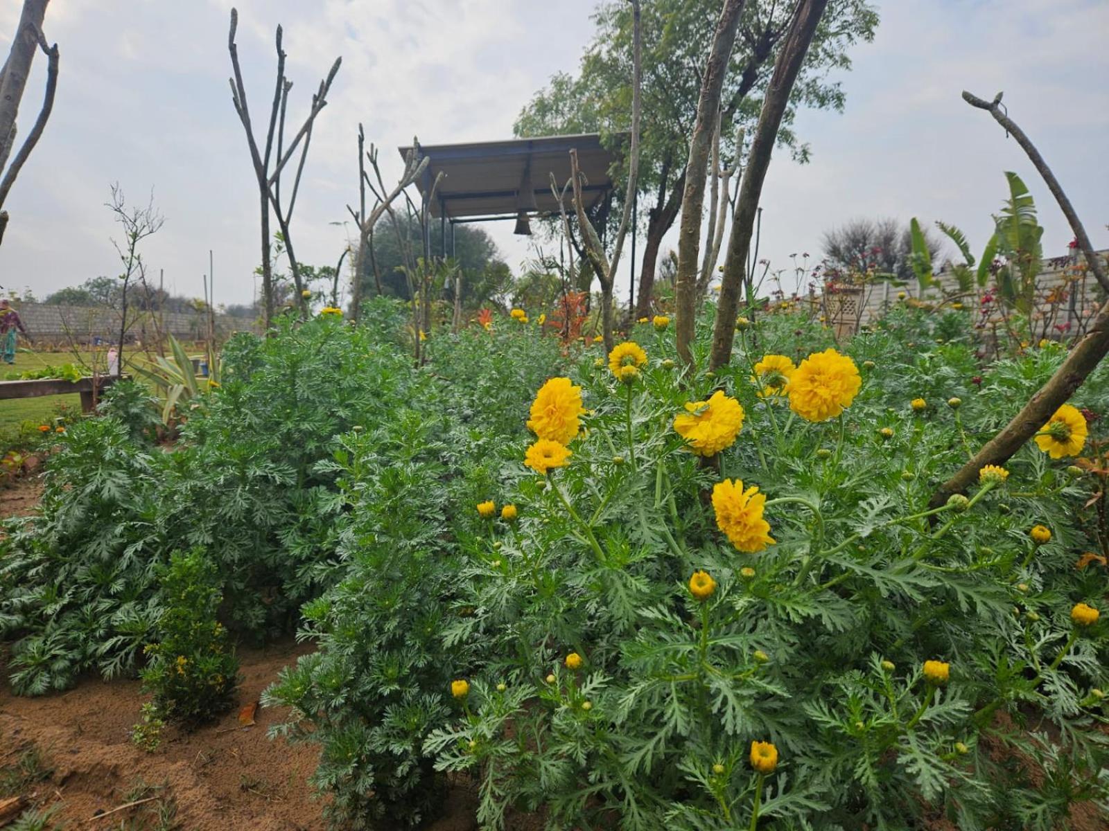 Bliss Farm Stay view 2