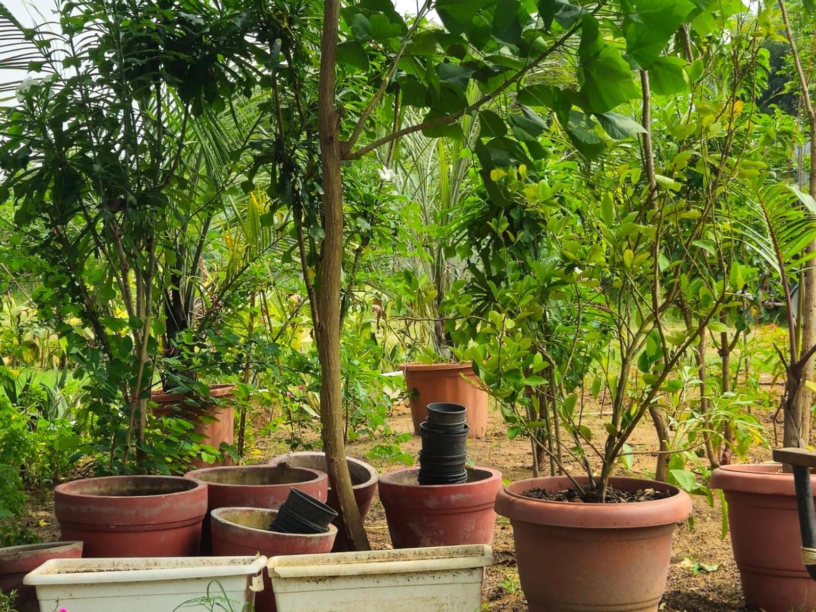 Bliss Farm Stay view 4