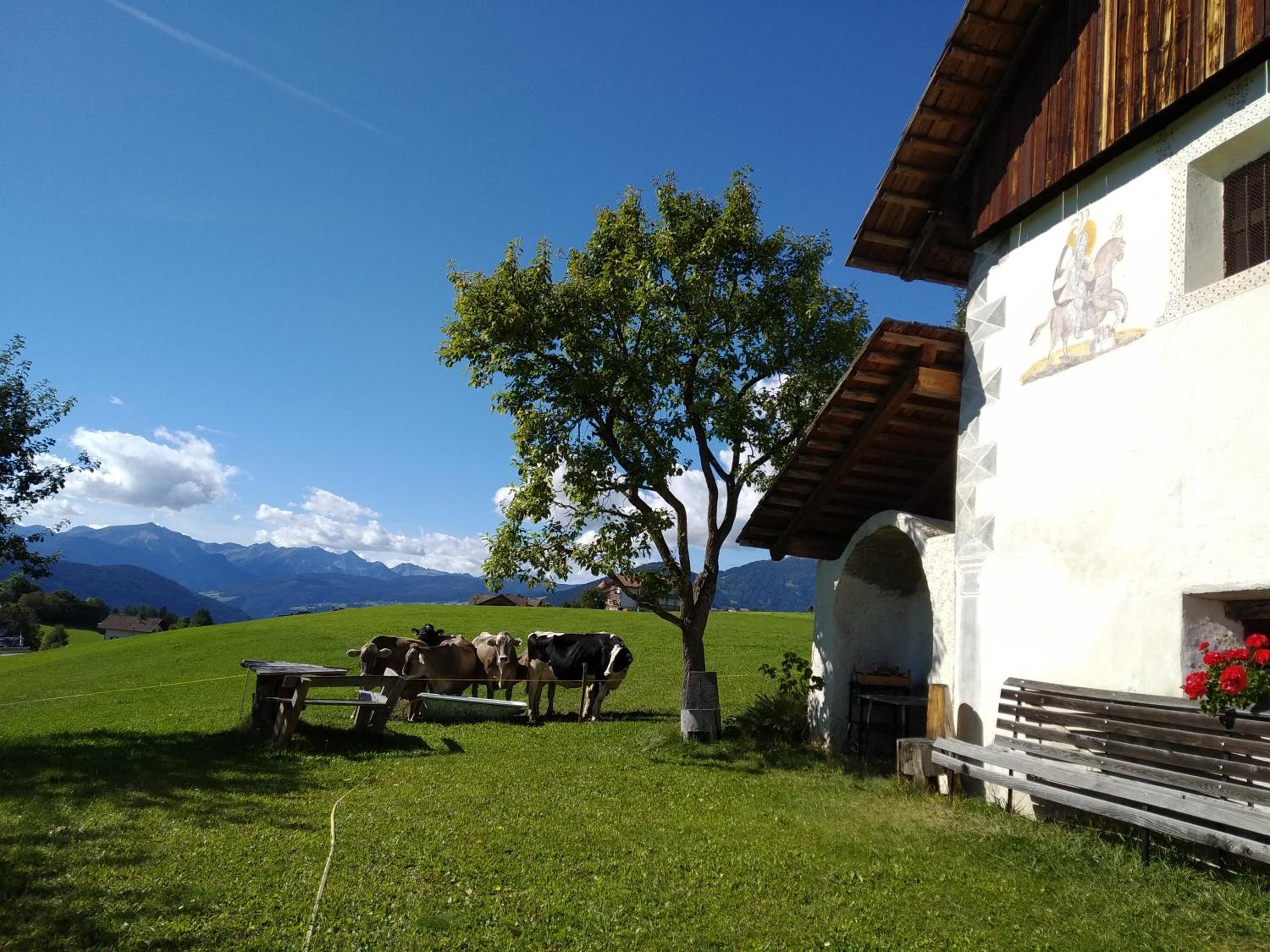 Huberhof Abendsonne