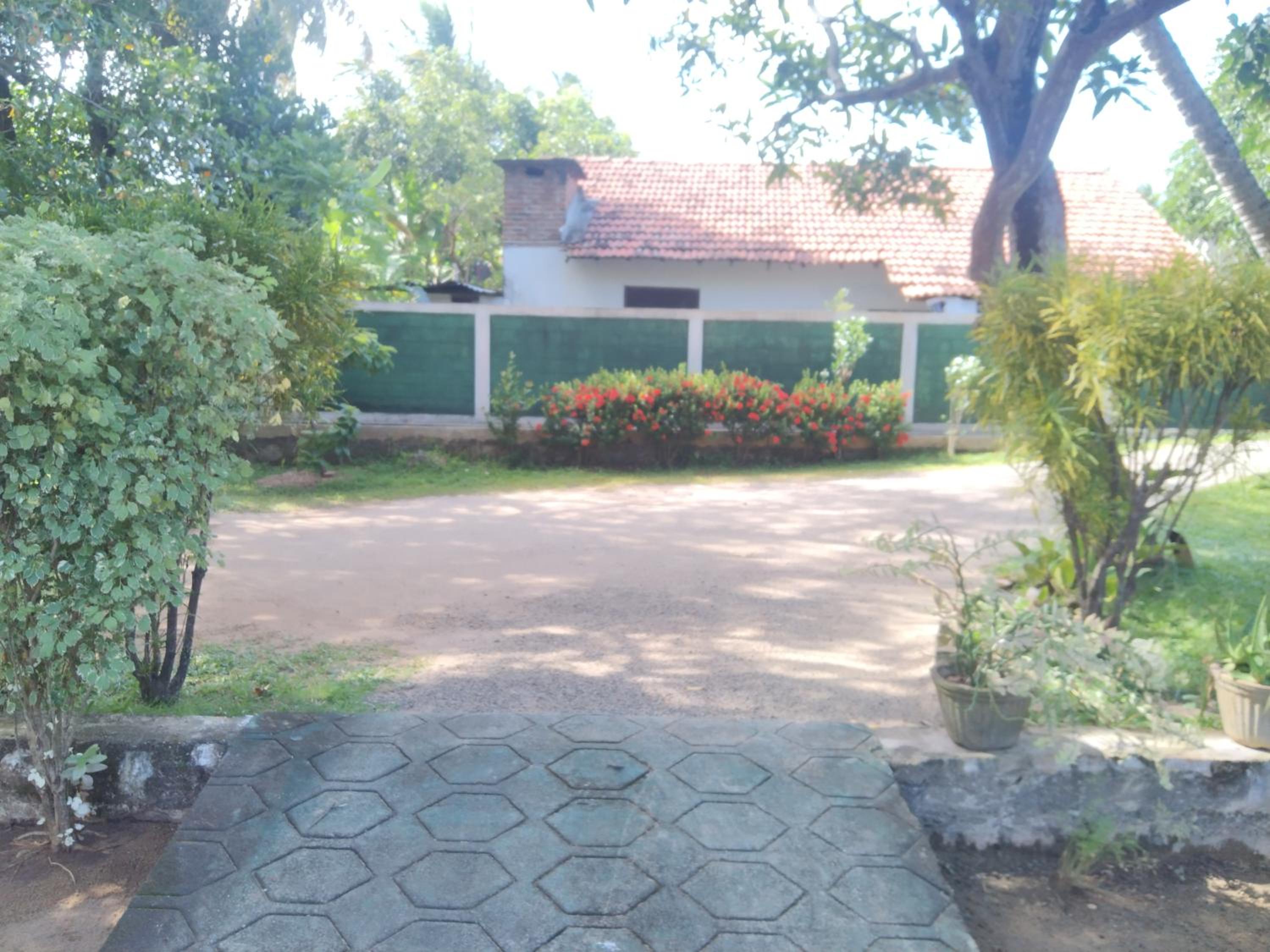 Diana's place