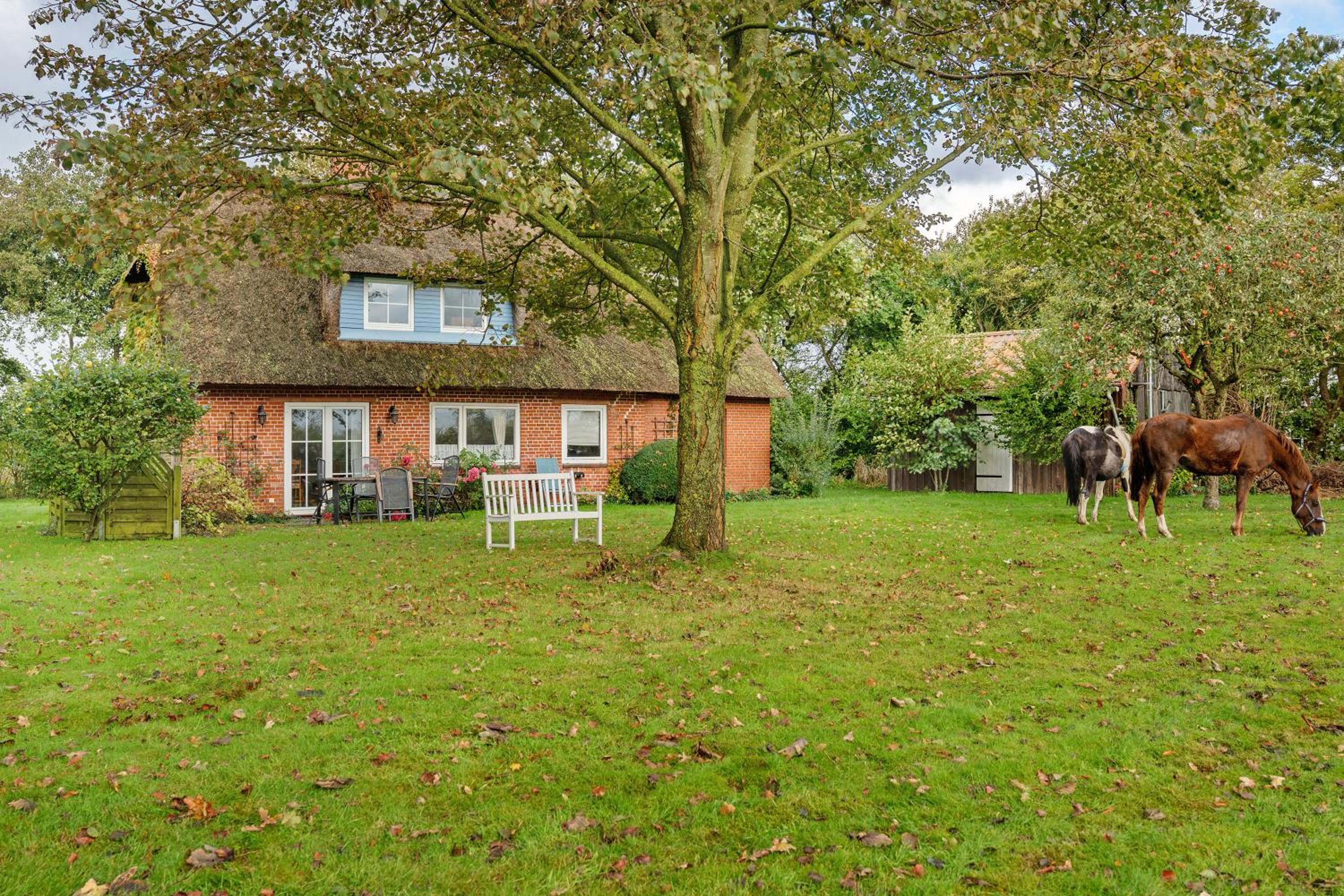 Reetdachchalet